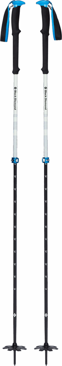 Black Diamond EXPEDITION 2 PRO SKI POLES 0000/No Color