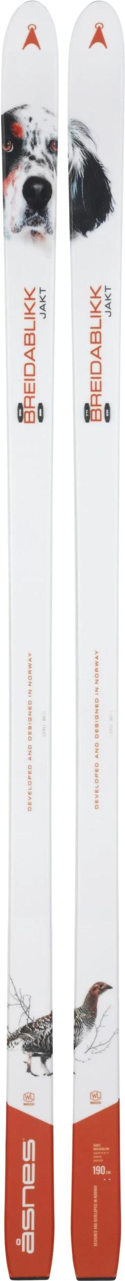 Breidablikk Hunter BC Waxless White